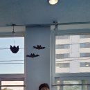 용인대 동아태권도장 이미지