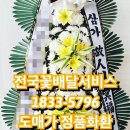 21C한일병원 이미지