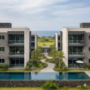 제주체크부동산중개 | 제주시 부동산 요즘 시세! 모르면 놓치는 핵심 체크 포인트 총정리