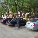 초원한우 이미지