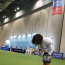 비바코리아 이미지