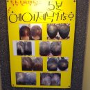 이경희헤어샵 네이버블로그