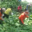 지리산농장2 이미지