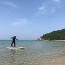 서프오션 양양