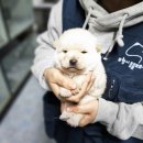 새싹발트유치원 이미지