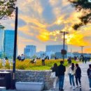 G타운공인중개사사무소 이미지