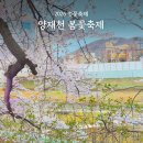 전국 직장인 뮤직페스티벌 | 벚꽃 가장 예쁜 위치 2026 양재천 벚꽃축제 후기 실시간