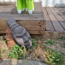 실라마실1 이미지