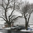 윤경이네 이미지