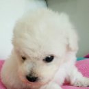 경주예찬기독