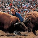 영인목장 이미지