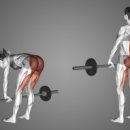 주 PT GYM 이미지