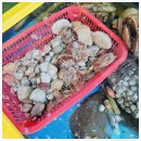 통큰칼국수 이미지