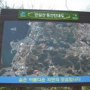 무선초등학교 Daum카페