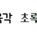 초록 환경 개발 이미지