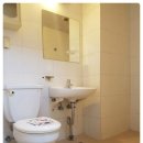 파레스빌 이미지