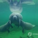 (주)해우 이미지