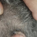 석사경로당 이미지