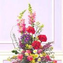 대림셀프세차타운 이미지