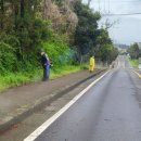 중산간동로 이미지