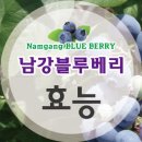 청화농업법인