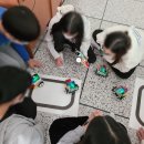 신흥초등학교 이미지