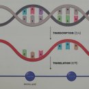 세상을 뒤바꿀 미래기술 25 이미지