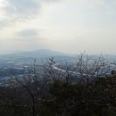 봉양1통 이미지