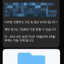 김초보의 색소폰 따라하기 | 보홀 나팔링 가서 체험다이빙 안하면 손해! 가격 시간 후기 총정리