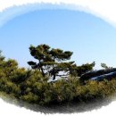 해인향기 이미지