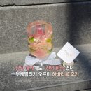 한*수 - 안양시 만안구 창박로 17 | 홍대 부케말리기 | 당일 예약으로 맡긴 부케, 결과는 신의 한 수였던 하바리움 후기