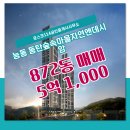 숲속공인중개사사무소 이미지