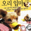 쿠치올로 이미지