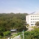 성안공인중개사사무소 이미지