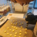 반려동물수제간식창업 이미지