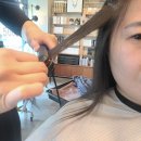 티아라헤어샵 | 울산 남구 삼산점 티아라글리닉 전문 박승철 헤어스투디오