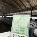 은행나무하우스낚시터 | 은행나무실내하우스낚시터:) 입질 많은 춘천 손맛낚시터