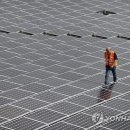알프스 태양광발전소 연합뉴스
