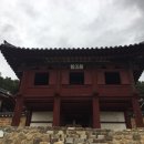 금오반점