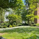 다시청춘민박 이미지