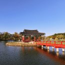 2025년 9월 부여 관광 트레킹(132차) 공지 이미지