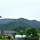 인처골시골밥상 이미지