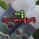 용인전자담배 🍓딸기와 베리의 상큼한 만남! 아울 딸기베리플러팅