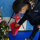 대성태권도 이미지