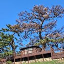 선창입구 이미지