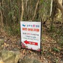 꿈의 정원 | 오동도 카페 동박새꿈정원 방문 후기 with 동백꽃차