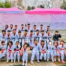 용인대코리아태권도 네이버블로그