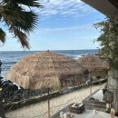 하이월드 | 제주 애월 대형카페 | 해지개 방문후기 | 내돈내산