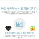 펫콤동물병원