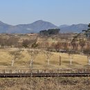 마루아라 하우스 이미지